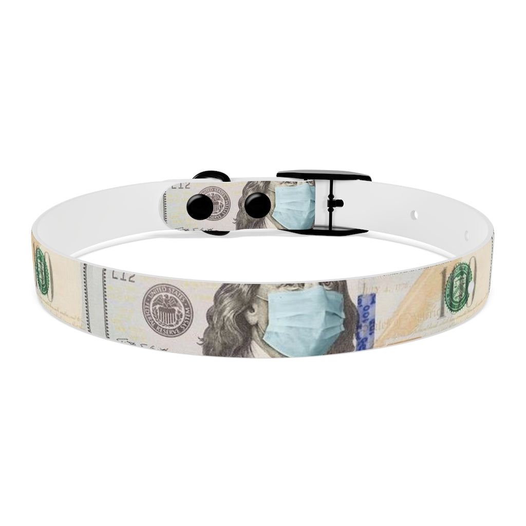 Dog Collar 100$ F#@$ C*#$d 19