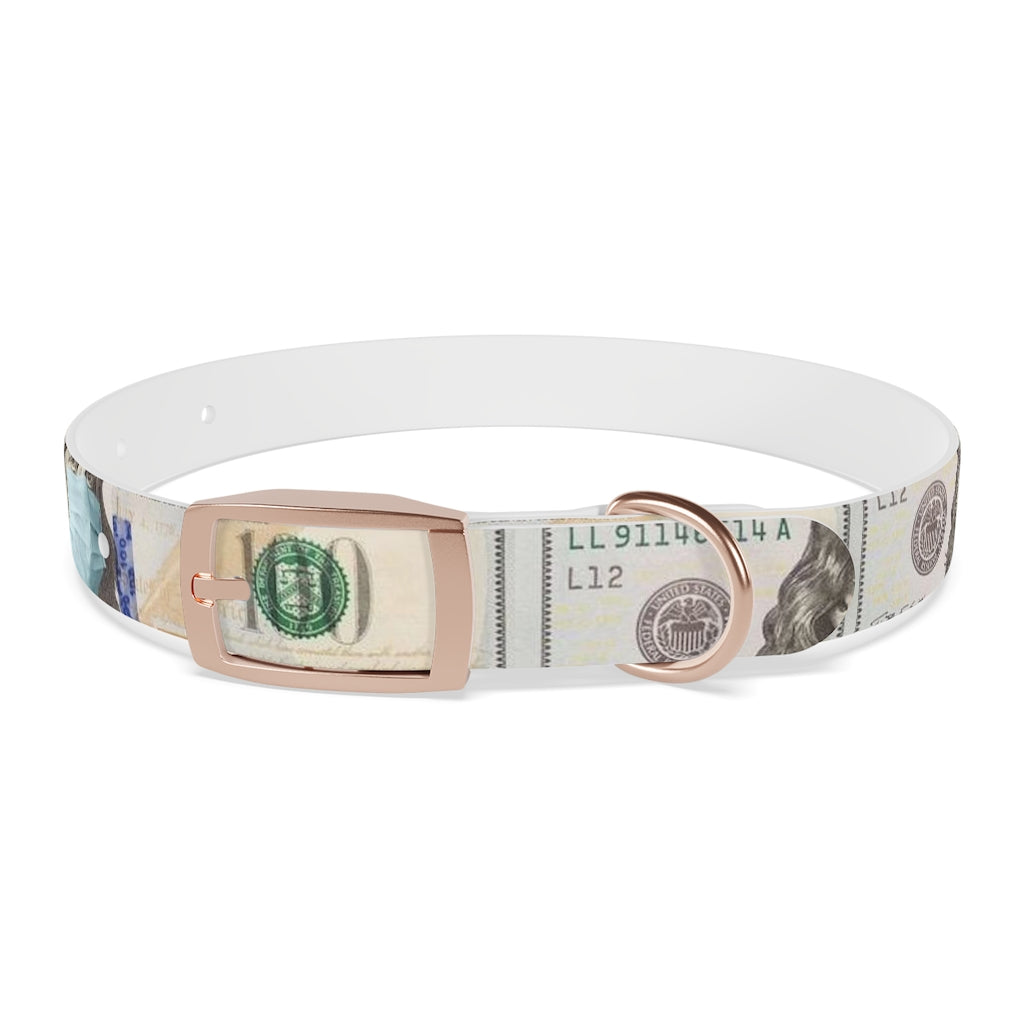 Dog Collar 100$ F#@$ C*#$d 19
