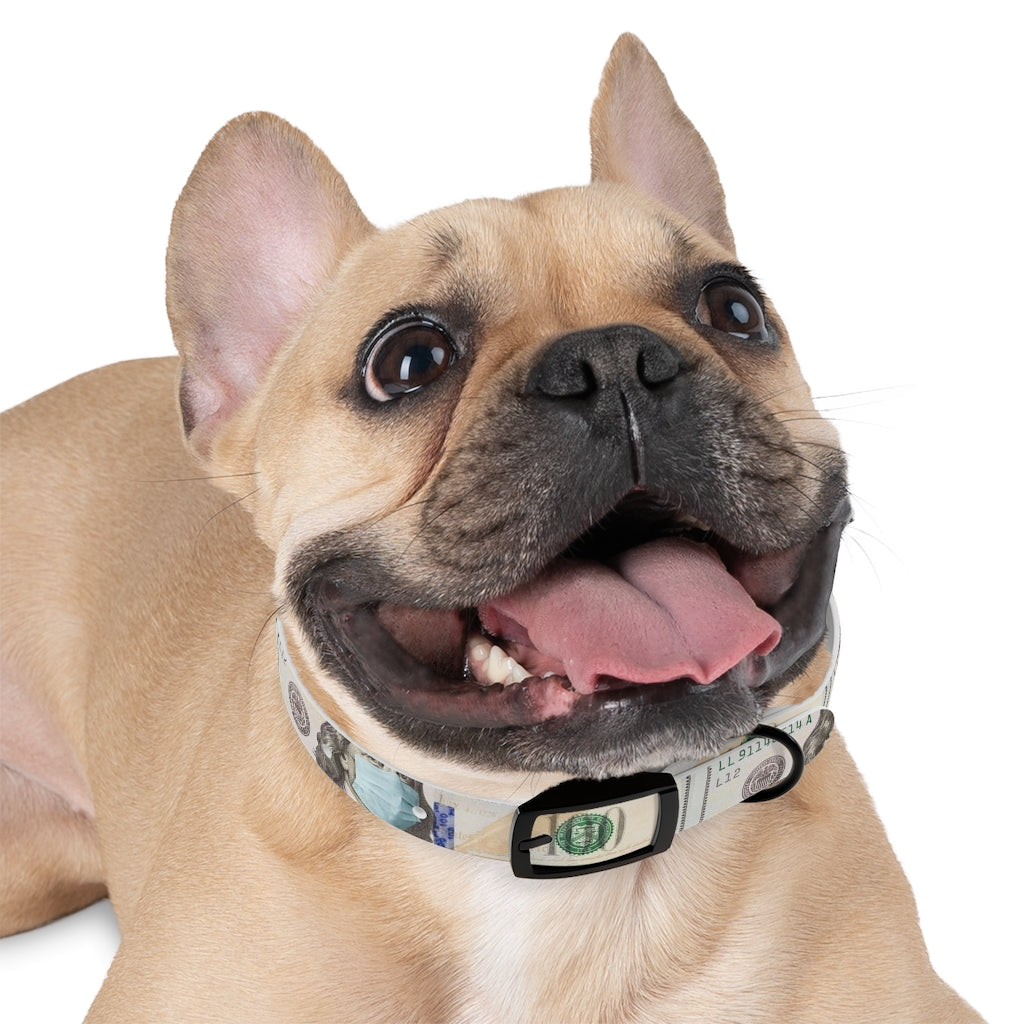 Dog Collar 100$ F#@$ C*#$d 19