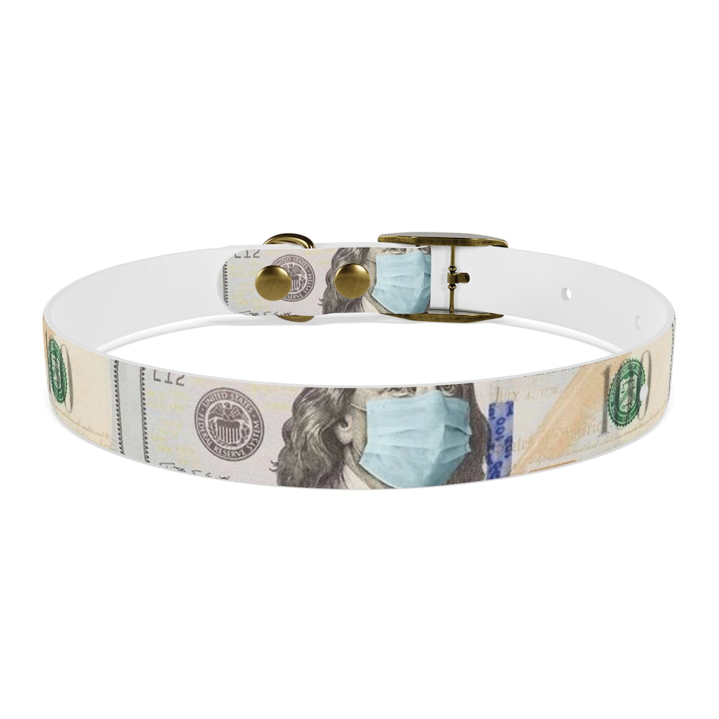 Dog Collar 100$ F#@$ C*#$d 19