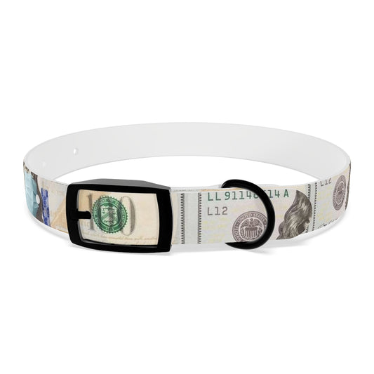 Dog Collar 100$ F#@$ C*#$d 19